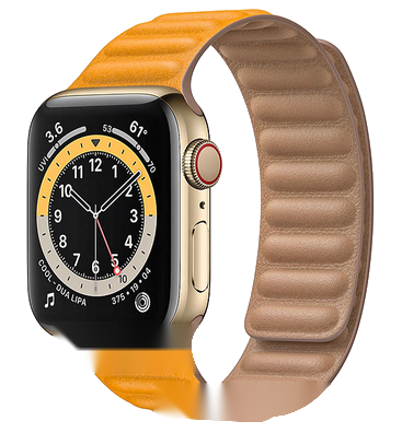 Apple Watch Series 6 (44mm)