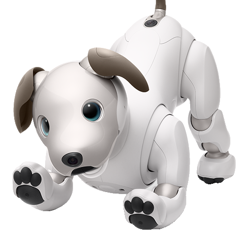 Sony Aibo ERS-1000