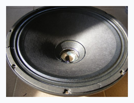 Electro-Voice ELX200-12P