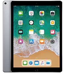 iPad Pro 12.9 2nd Gen (A1670 / A1671)