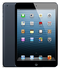 iPad Mini (A1432 / A1454)